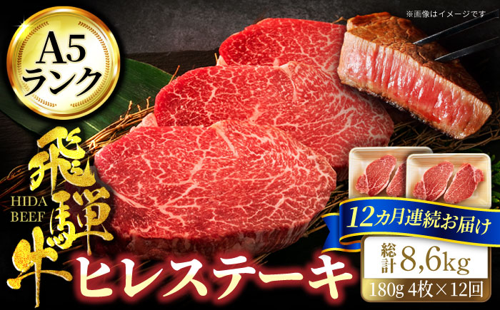 
【12回定期便】＜A5ランク＞飛騨牛ヒレステーキ180g×4枚 計720g 総計8.64kg【有限会社マルゴー】 [MBE049]
