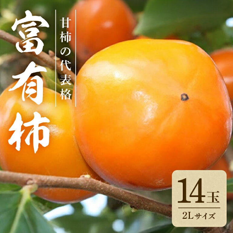 【ふるさと納税】 【2025年　先行予約】 富有柿 2L 14玉 （ミナミ観光果樹園） 柿 甘い柿 かき 富有カキ 甘い 果物 フルーツ くだもの カキ 富有かき 秋 旬 甘柿 糖度 贈答用 贈答品 ギフト 贈り物 品種 ブランド 産地直送 農家直送 産直 茨城県 石岡市 送料無料 (A09-003)