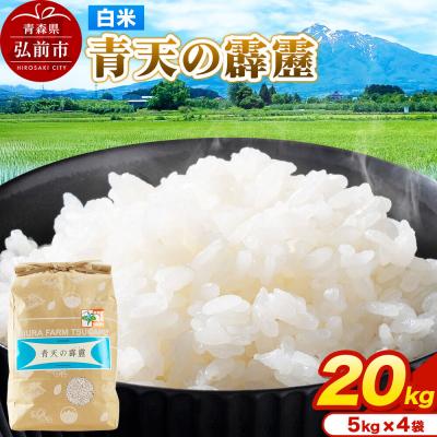 ふるさと納税 弘前市 米 青天の霹靂 白米 20kg(5kg×4袋)令和7年産|24_mft-062001
