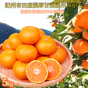 紀州有田産濃厚甘熟温州みかん5kg【2026年11月下旬以降発送】【先行予約】【UT09】【uot006】