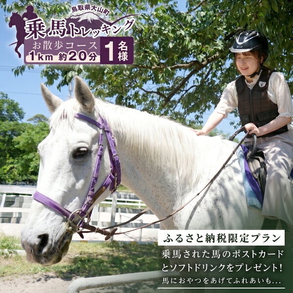 【ふるさと納税】DJ-03　乗馬トレッキング「お散歩コース」おまけ付きプラン 1名様ご利用券 大山乗馬センターオリジナル 鳥取県 鳥取県産 大山町 大山 お土産 返礼品 国産 お取り寄せ ご当地