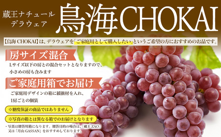 【鳥海 CHOKAI】蔵王ナチュールデラウェア 山形のデラウエア TAKUMI ORCHARD 99% ご家庭 M以上房サイズ混合 約1kg 山形 山形県 山形市 フルーツ 果物 くだもの 送料無料 