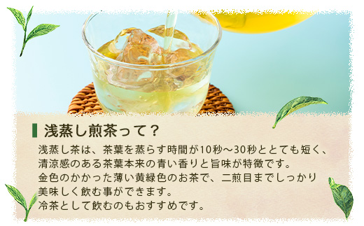 【2026年5月以降発送】浅蒸し煎茶(100g×1袋)【若蒸し煎茶】【合計100g】X0-17【配送不可地域：離島】