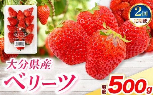 【定期便2回】ベリーツ × 2パック ( 約500g ) ( 1パック/250g前後 ) | 苺 イチゴ いちご ベリー フルーツ 果物 くだもの 大分県産 産地直送 定期 定期便 大分県 中津市