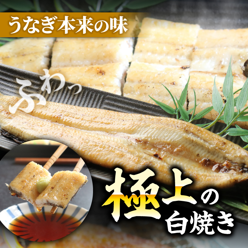 【通常用】【5回定期便】極上国産うなぎ四万十桜 白焼き約140g✕4尾 | うなぎ 鰻 ウナギ 白焼き 定期便 国産 四万十鰻 ウナギ 蒲焼き 調理済み タレ付き 頒布会 ギフト（お歳暮/お正月）高級