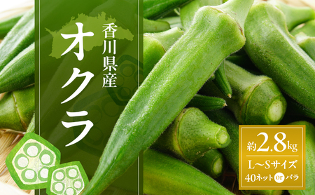 オクラ 野菜 新鮮 オクラ【約2.8kg L〜Sサイズ 40ネット】