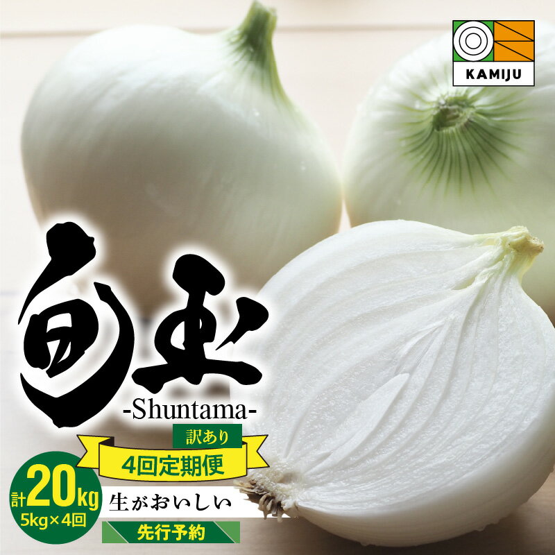 【ふるさと納税】 2026年発送 【先行予約】 定期便 4回 訳あり とにかく甘い 新玉ねぎ 5kg × 4 計 20kg 生がおいしい 神重農産のブランド玉ねぎ 玉ねぎ 旬玉 国産 サイズ 不揃い ミネラル オニオンスライス 玉ねぎステーキ オニオンスープ 野菜 愛知県 碧南市 送料無料