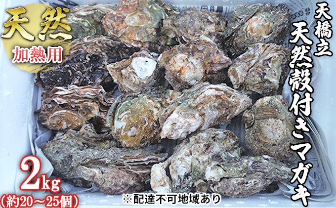 【ふるさと納税】天橋立 天然殻付きマガキ 2kg（約20～25個）【加熱用】魚貝類 牡蠣 カキ 天然 産地直送 焼き 蒸し 真牡蠣 日本酒