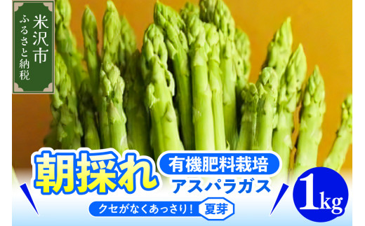《 先行予約 》【 令和8年産 夏芽 】 アスパラガス 1kg 1箱 〔 発送 ： 2026年7月中旬頃 ～ 9月下旬頃 まで 〕 朝採り 有機肥料栽培