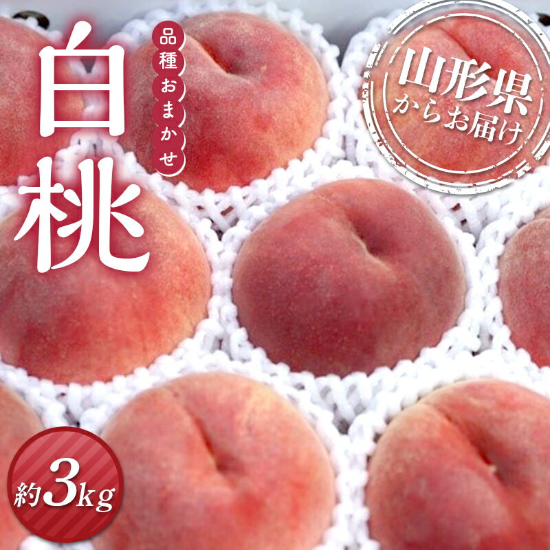 【ふるさと納税】≪先行予約≫2025年度発送 白桃 約3kg箱 満杯詰め（8個～14個入り） もも モモ 桃 デザート フルーツ 果物 くだもの 果実 食品 山形県 FSY-2168