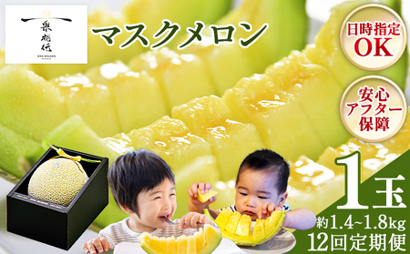 【12回定期便】マスクメロン（贈答用） 1玉入 青肉品種 高級メロン！ ／ マスクメロン 果物 フルーツ ギフト 農家直送 Wtn-0052
