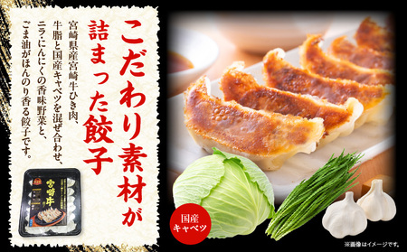 宮崎牛餃子セット 12個入り/5パックセット 合計60個 餃子 セット 60個 国産 宮崎牛 冷凍餃子 キャベツ 牛肉 肉 中華 中華料理 中華惣菜 惣菜 お惣菜 おつまみ つまみ おかず ぎょうざ 