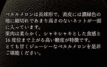 【先行予約】糖度が高くシャキシャキした食感「ペルルメロン」 1玉 坂井市産 果物 【2026年6月下旬以降順次発送予定】 [A-3220]