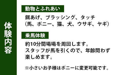自然の中で動物とふれあい＆乗馬体験 1名【徳島県 那賀町 乗馬 馬 動物 体験チケット 体験型 観光乗馬 ふれあい 観光 旅行 遊び アクティビティ お出かけ レジャー アウトドア アニマルセラピー 