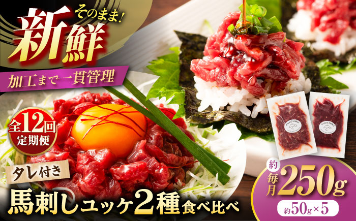 
            【全12回定期便】「フジチク」ユッケ 2種の贅沢 食べ比べセット / 馬刺し 馬肉 冷凍 送料無料【株式会社フジチク】[BHAD115]
          