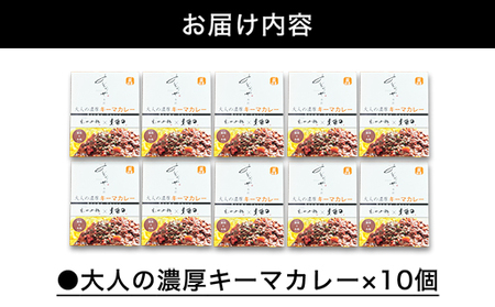 大人の濃厚キーマカレー（10人前）