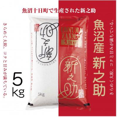 ふるさと納税 十日町市 【令和7年産】新潟の新しいプレミアム米、魚沼産「新之助」5kg×1袋 新潟県 十日町市