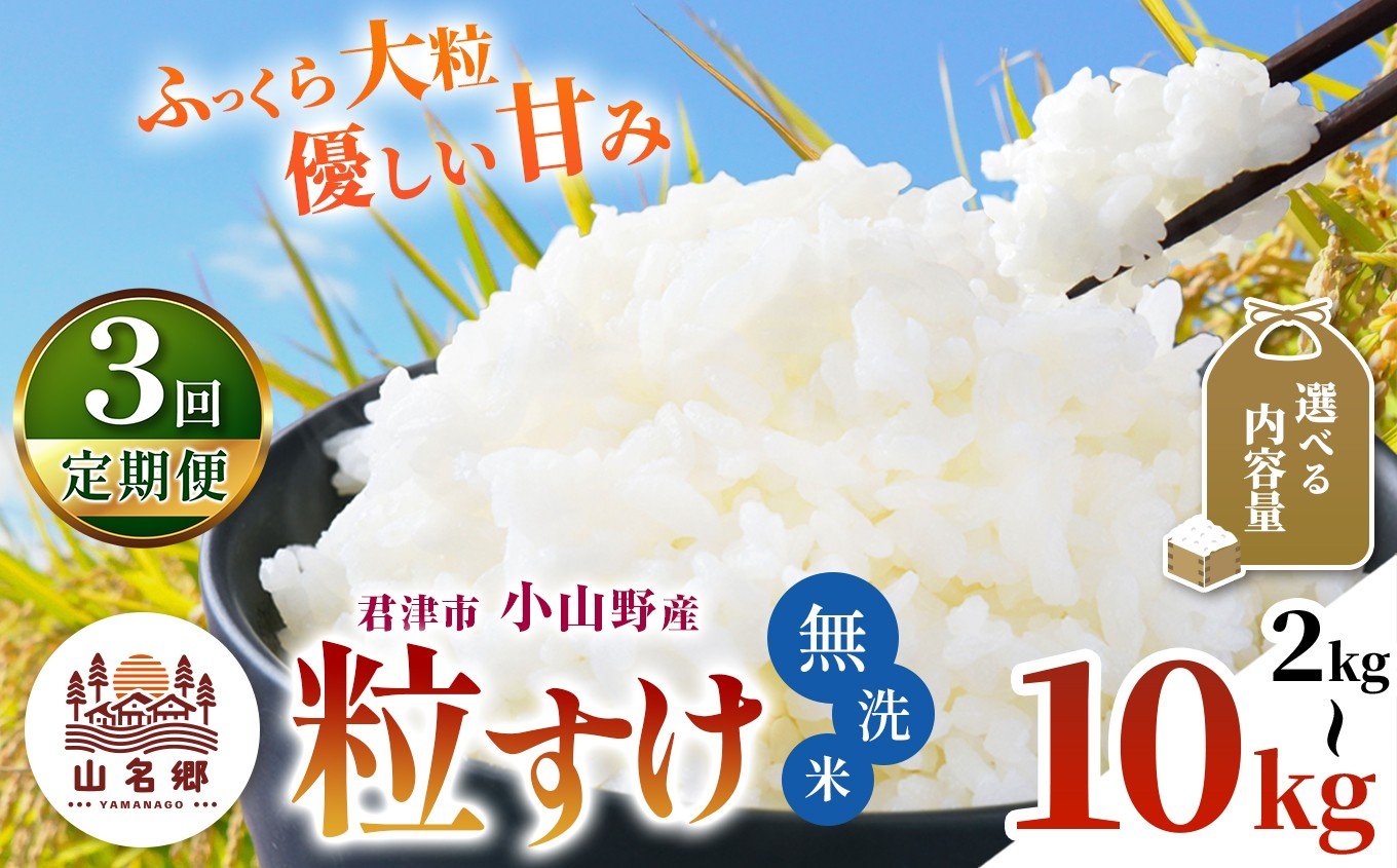 
                  【 定期便 3回 】　無洗米 令和7年産 君津市小山野産 粒すけ 選べる容量 2kg 3kg 5kg 10kg | 山名郷米 やまなごうまい ツブスケ 千葉県産 米 コメ こめ お米 千葉県 君津市 きみつ あかかげ農園　千葉稲作 千葉県 君津市 きみつ
                