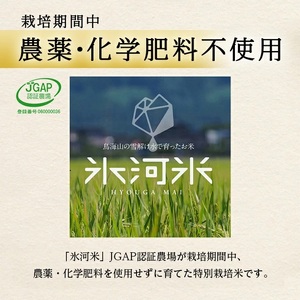 SA1033　【玄米パックご飯】特別栽培米ひとめぼれ、ミルキークイーン『氷河米』 計12パック(6パック×2種) AG