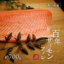 【ふるさと納税】「百年サーモン」フィレ約700g 　東かがわ市　お届け：2025年3月上旬～5月上旬