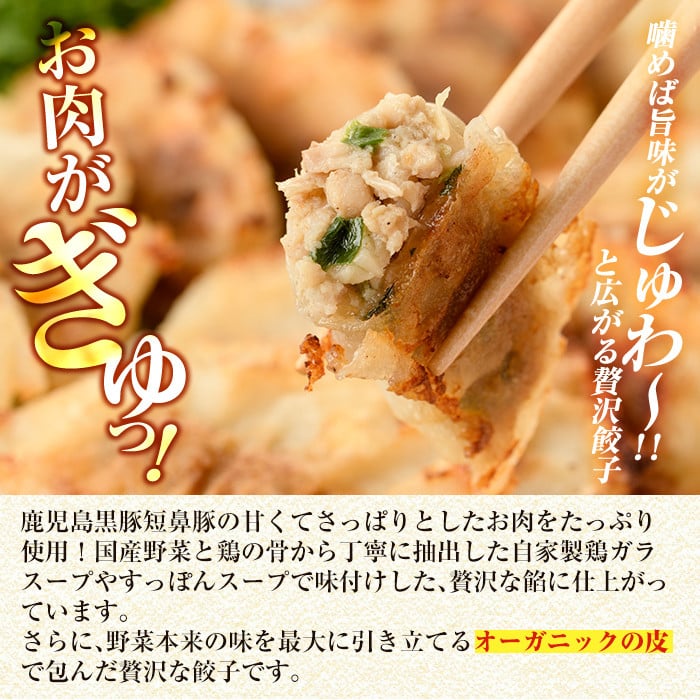 a006 鹿児島黒豚「短鼻豚」餃子セット36個(オーガニック皮使用)【鹿児島ますや】姶良市 ギョーザ 餃子 無添加 惣菜 おかず  おつまみ 冷凍 黒豚 国産野菜 ぎょうざ
