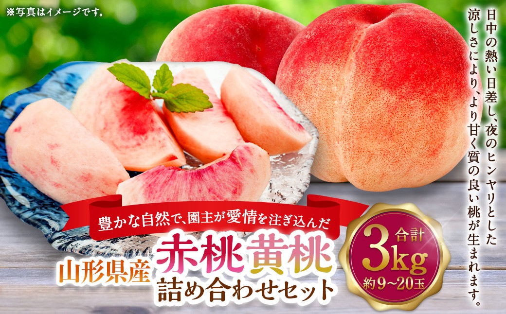 
                  豊かな自然で、園主が愛情を注ぎ込んだ桃（赤桃・黄桃） 詰め合わせ 約3kg （9玉～20玉） ご家庭用 果物 くだもの 夏果実 フルーツ 産地直送 【2026年8月順次発送予定】
                