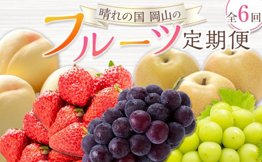 
                  フルーツ 定期便 2026年 晴れの国 岡山の フルーツ 定期便 6回 桃 ぶどう 梨 いちご 岡山県産 国産 フルーツ 果物 ギフト
                