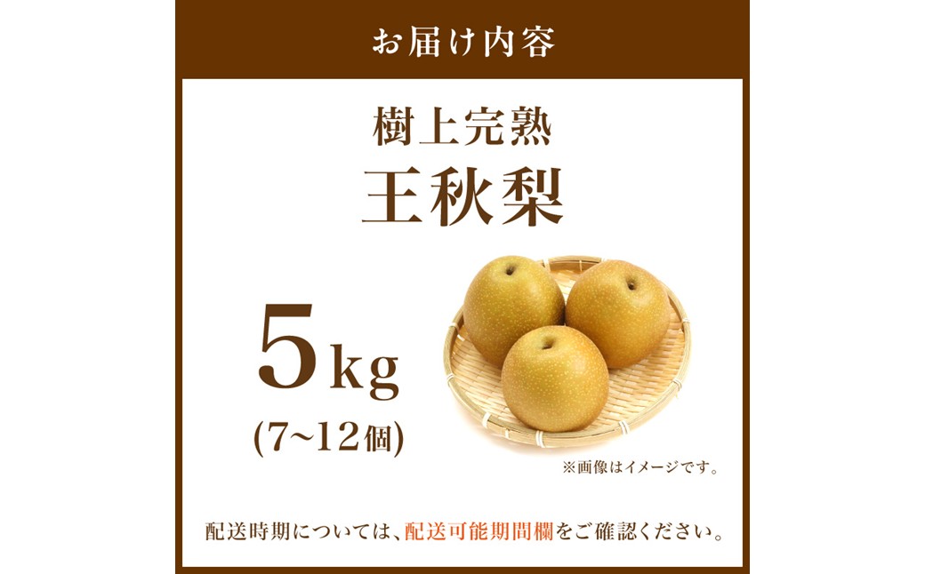 【先行予約】樹上完熟 王秋梨 5kg（7～12個）（2026年12月上旬～発送） 果物 梨 和梨 王秋 国産 5kg 先行予約 期間限定 ふるさと納税 フルーツ ふるさと納税 なし ふるさと納税 梨 