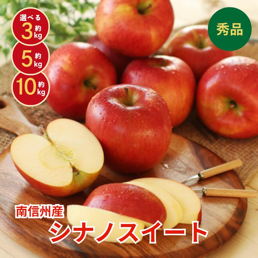 【ふるさと納税】りんご シナノスイート 香りも良く食べやすい! 長野県産 りんご シナノスイート 選べる容量＜2026年10月中旬〜11月中旬発送＞| 果物 くだもの フルーツ りんご リンゴ 林檎 シナノスイート 長野県 信州 南信州 飯田市 B15 B21 B37