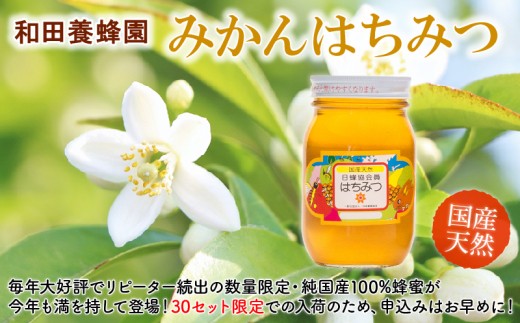 
            40-23　和田養蜂園 宇土市産 天然 純国産 蜂蜜 100% 「みかんはちみつ」 1kg 柑橘 みかん ハチミツ 無添加 無加工 貴重 数量限定 フレッシュ 香り 　
          