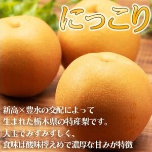 【2026年先行予約】栃木県共通返礼品 宇都宮産 にっこり 5kg | にっこり 新高 豊水 梨 なし 新品種 先行予約 大粒 新鮮 甘い 美味しい 果物 共通返礼品 フルーツ デザート 栃木県 那珂