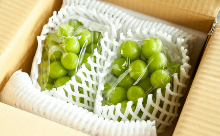 山形産 シャインマスカット 約1kg (2～3房) 秀品 【令和7年産先行予約】FS24-732