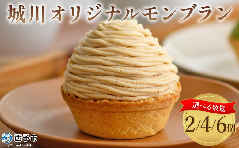 
            ＜城川オリジナル モンブラン 2/4/6個入り＞栗 スイーツ  マロン 洋菓子 おかし ケーキ くり お試し 和栗ペースト クリーム 渋皮煮 スポンジ チーズアパレイユ タルト メニークエスト 愛媛県 西予市【冷凍】
          