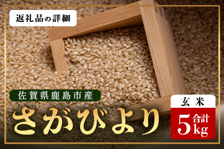 先行受付 ＼生産者直送／ さがびより 玄米5kg 佐賀県産さがびより 佐賀県鹿島市 C-152