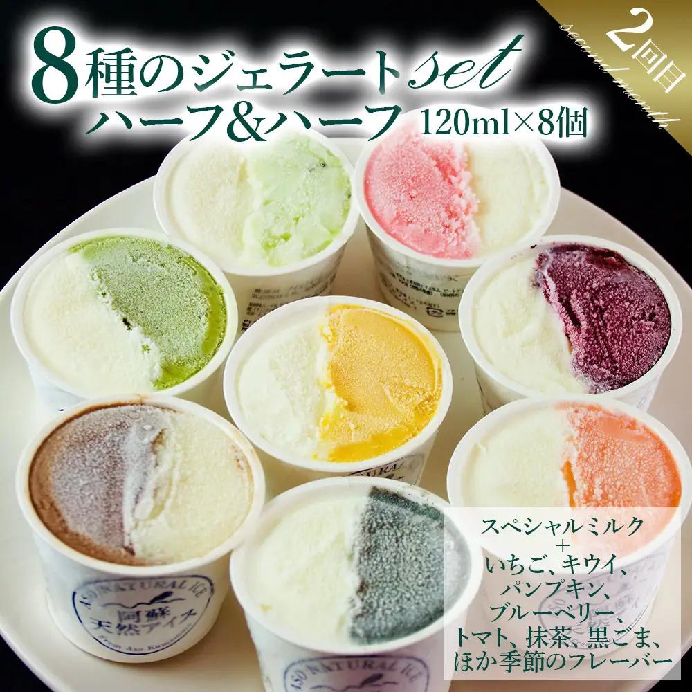 【定期便/全3回】阿蘇天然アイスのアイスやジェラートを3か月お届け！（阿蘇天然アイス）
