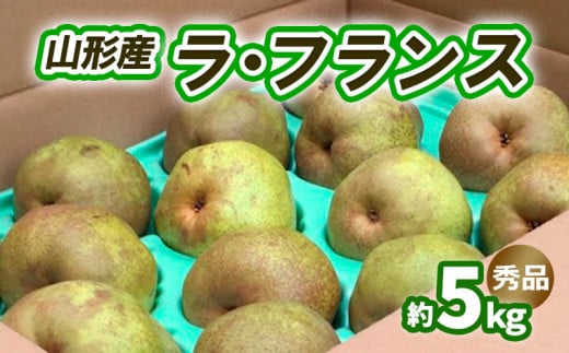 ラ・フランス 約5kg 秀品 (10～16玉) 3L～6L [11月発送] FY25-831