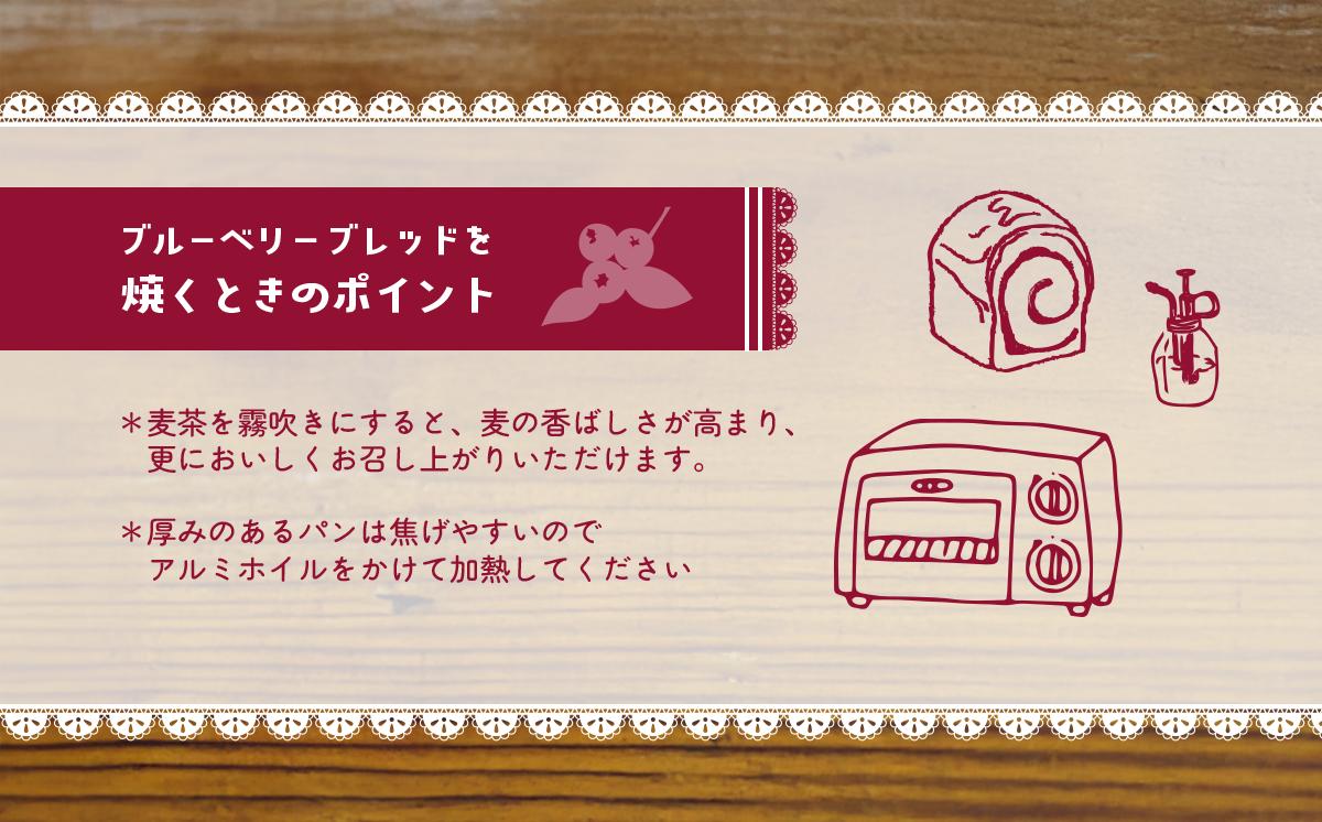 【12ヵ月定期便】ペニーレインのブルーベリーブレッド3本セット【 パン 冷凍 人気 菓子パン パン屋 茨城県 つくば市 ブルーベリー ブルーベリージャム ブルーベリーソース 冷凍パン お取り寄せ おや