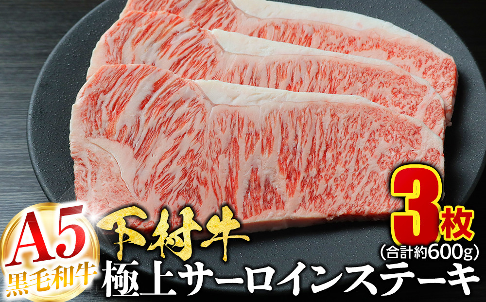 【定番】大府特産A5黒毛和牛下村牛極上サーロインステーキ　3枚入り約600g 232238_N042-PR