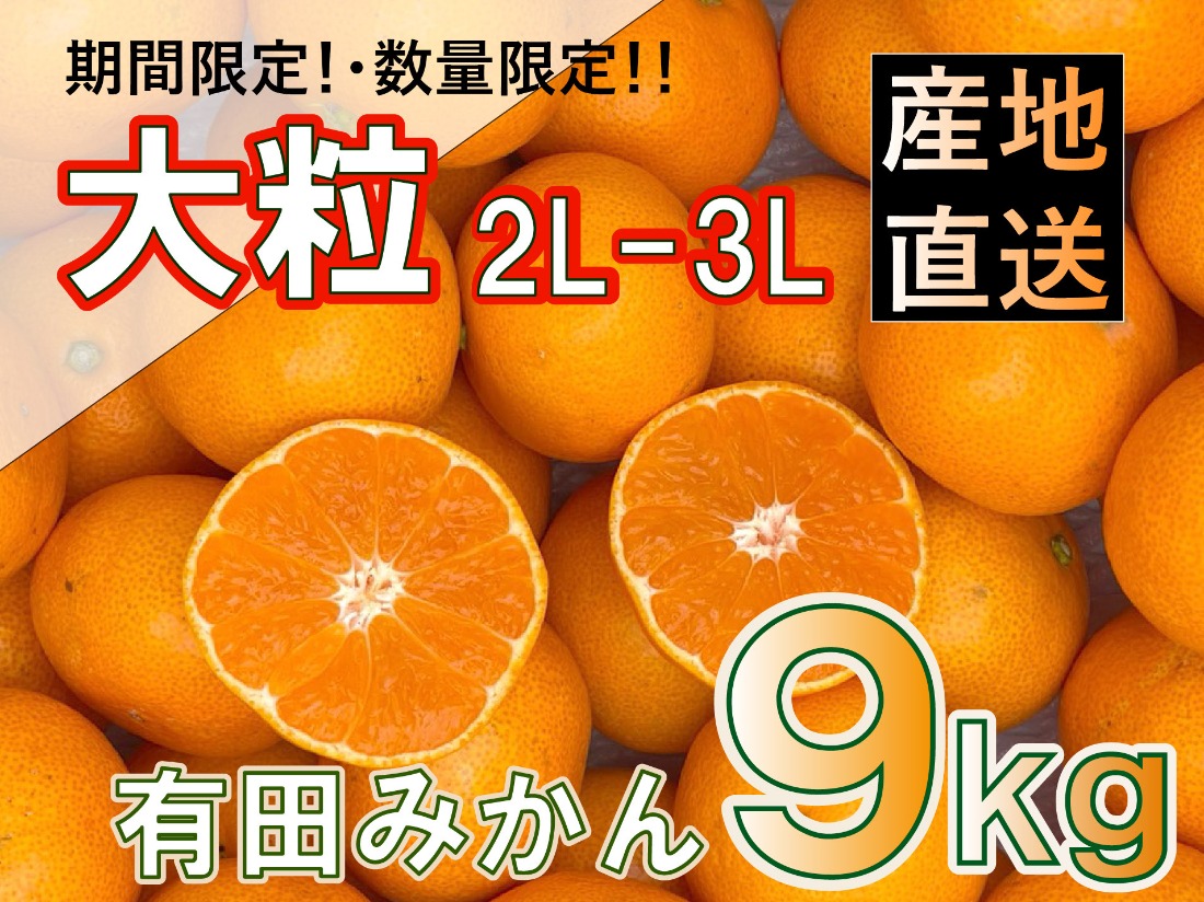 ［先行予約］和歌山県産 有田みかん 大玉 大粒 9kg 2L～3L BA50