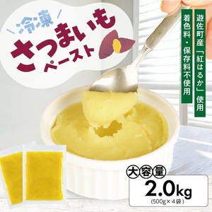冷凍さつまいもペースト2.0kg(500g×4袋) 山形県遊佐産 冷凍便 ※離島発送不可 冷凍 さつまいも さつま芋 サツマイモ 野菜 野菜ペースト 離乳食 介護食 お菓子作り 小分け ゆざ食彩工房 遊佐町 庄内 東北 [1433SA2000G]