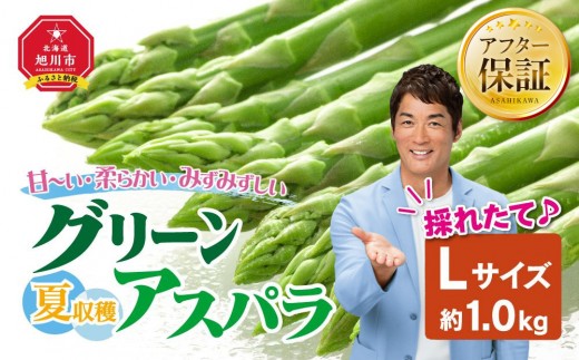 【2026年先行予約】夏収穫グリーンアスパラ Lサイズ 1kg（2026年7月上旬から発送開始予定）【 アスパラ アスパラガス 朝採り とれたて 野菜 旬 小分け 保存 産直 産地直送 お取り寄せ 旭川市 北海道 】_00414