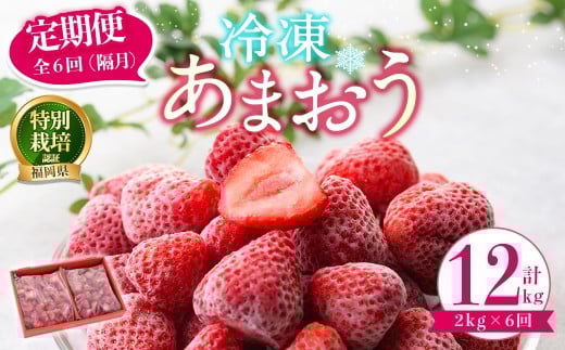 ＜全6回定期便(隔月)＞冷凍あまおう（計12kg:2kg×6回) いちご イチゴ 苺 あまおう 冷凍いちご 冷凍イチゴ 国産 定期便 福岡県 特別栽培 果物 フルーツ アイス ジャム 冷凍フルーツ ＜離島配送不可＞【ksg1787】【うるう農園】