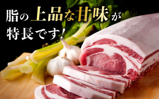 【選べる！冷凍配送 冷蔵配送】一貴山豚 ロースとんかつ・トンテキ用 計480g(120g×4枚) 糸島市 / いきさん牧場 豚肉 [AGB030]