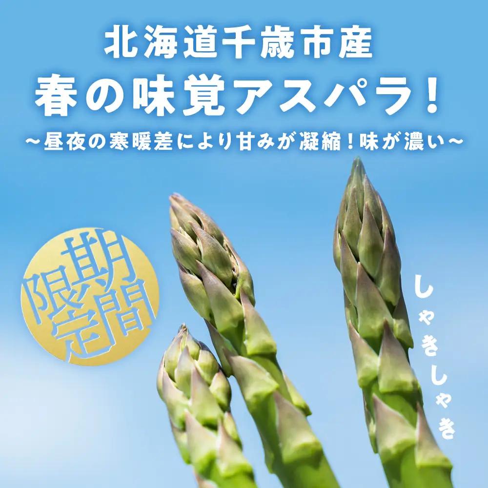 【 2027年 春発送 】 グリーンアスパラ 1kg M～2L アスパラ アスパラガス 野菜 千歳 北海道