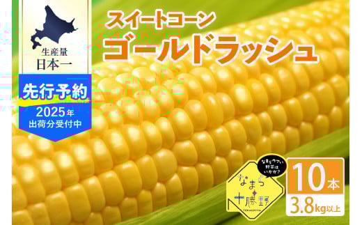 【2025年分先行予約】北海道十勝芽室町 スイートコーンゴールドラッシュ10本 me001-003c-25