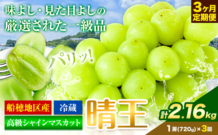 高級 シャインマスカット 3ヶ月 定期便 [2025年先行予約] ぶどう 晴王 1房 2.16kg 岡山県産 《9月上旬-11月末頃出荷(土日祝除く)》 ハレノフルーツ マスカット 送料無料 岡山県 浅口市 フルーツ 果物 贈り物 ギフト 国産 岡山県産【配送不可地域あり】（北海道・沖縄・離島）