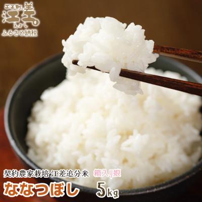 ふるさと納税 江差町 【令和7年新米先行予約】契約農家栽培 江差追分米『箱入り娘　ななつぼし』【5kg】