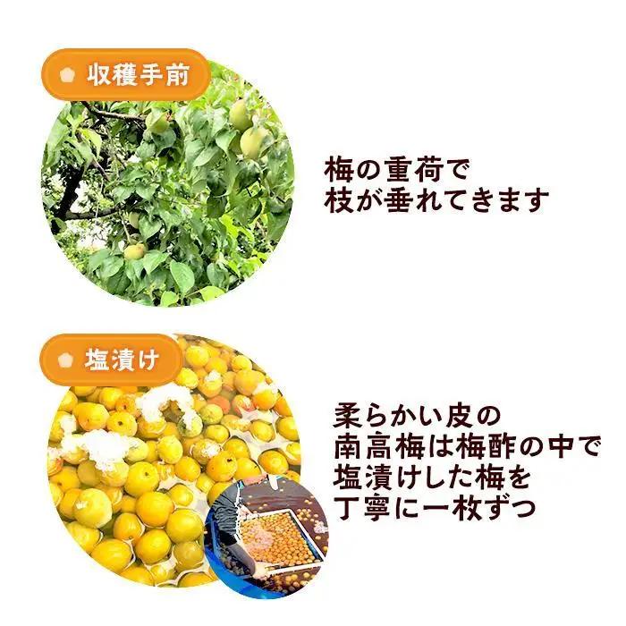 極上 紀州南高梅 まごころ梅 はちみつ 梅干し 3L サイズ以上 1kg 塩分 約5％ 化粧箱入り