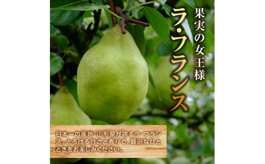 ≪先行受付≫ラフランス 5kg 14個～20個【2026年11月上旬～順次発送予定】