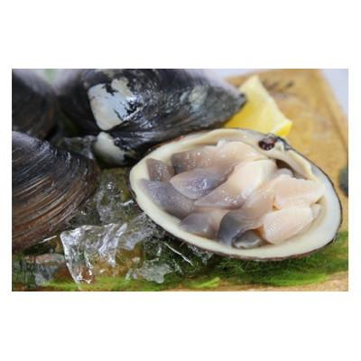 ふるさと納税 厚真町 【北海道厚真町】厚真町近海で獲れる新鮮な殻付きホッキ貝(3kg)【S-069】 |  | 02